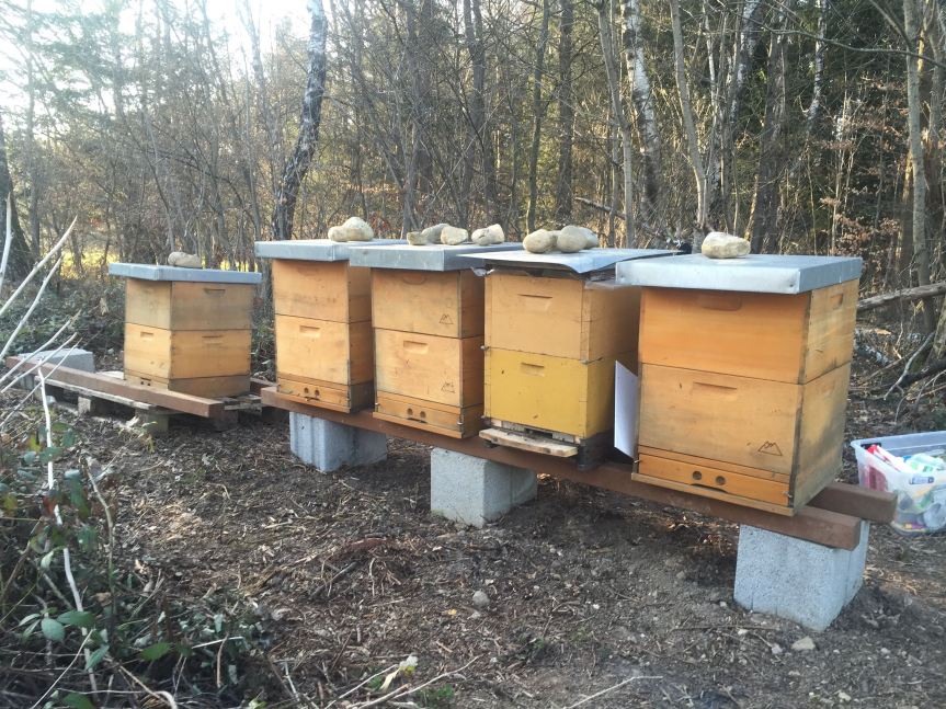 Jetzt kommt der&nbsp;Frühling!